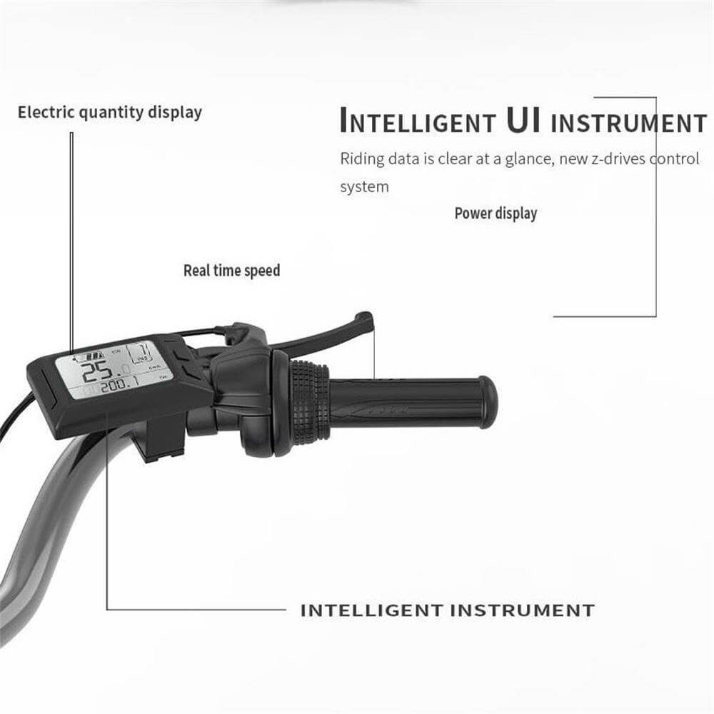 250W-electric-city-bike