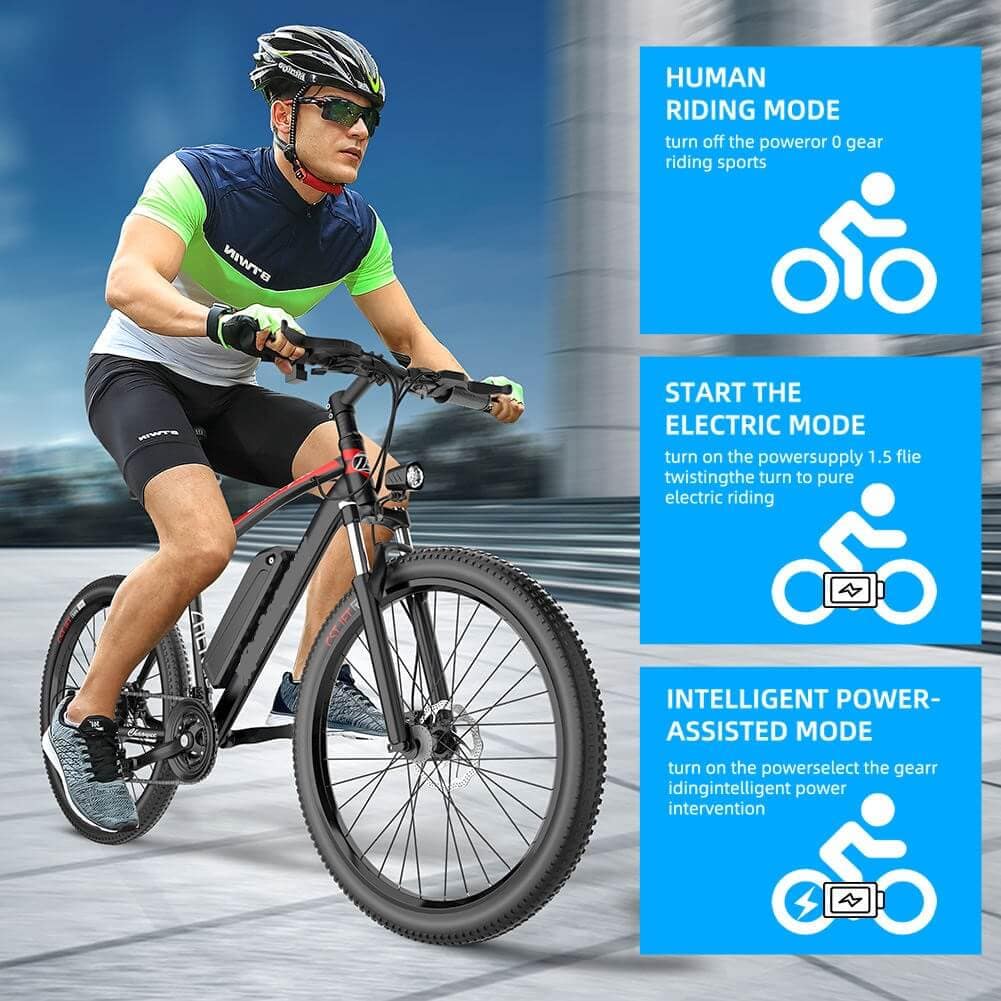 e-mountain-bike-250W