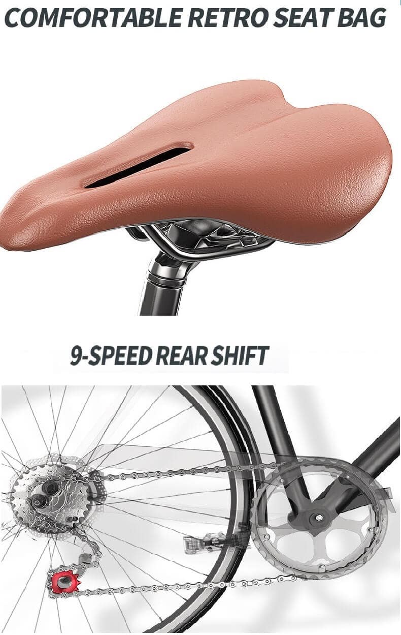 bicicletta elettrica-città-700c