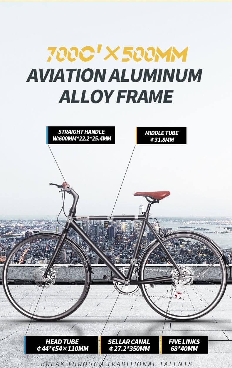 electric-city-bike-700c-250W